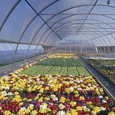 Doppelschicht-Film-Gewächshaus für Bodenlose Kultur Tomaten Gurke Blumenbau