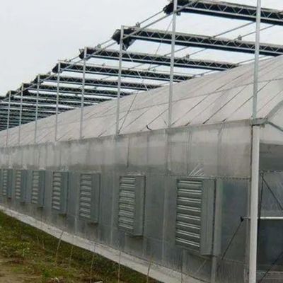 Temporäres Gewächshaus mit Gewölbengewölbe für die Tomaten- und Gurkenzucht