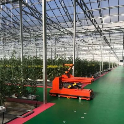 Richtige intelligente Gartenglasgestelle Landwirtschaft Gewächshaus Verkauf 100.000kg Bruttogewicht
