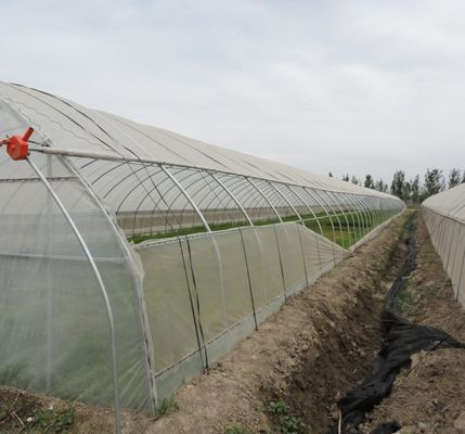 Doppelbogen-Pfeffer- und Blütenhydroponisches Gewächshaus mit Multi-Span-Dachform
