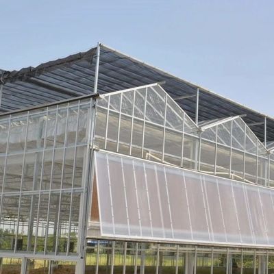 US Hot DIP Galvanized Steel Multi Span Glas Gewächshaus 50,00cm * 60,00cm * 80,00cm