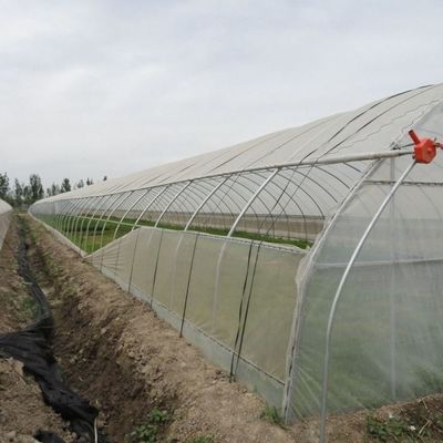 1209.00cm * 235.00cm * 239.00cm Filmdeckung Gewächshaus für Tomaten und Gurken