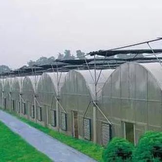 2000.000kg Paket Bruttogewicht Einpflanzsystem für Doppelbogengewächshäuser