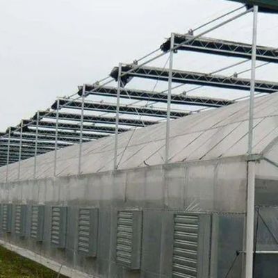 2000.000kg Paket Bruttogewicht Einpflanzsystem für Doppelbogengewächshäuser
