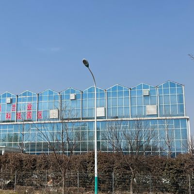 JX-A0018 Glasgewächshaus für Tomatenanbau 30 Tage Rücksendung Rückerstattung Langlebig leicht
