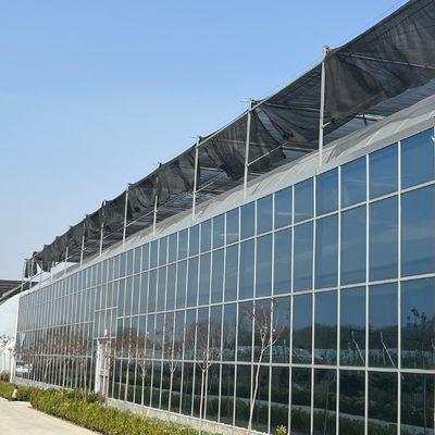 JX-A0018 Glasgewächshaus für Tomatenanbau 30 Tage Rücksendung Rückerstattung Langlebig leicht
