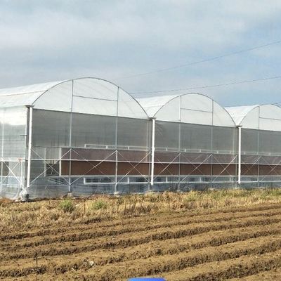 Temporärer Heizfilm Gewächshaus Gemüse- und Blumenhydroponisches System für den Anbau