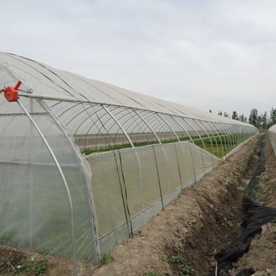 Temporärer Heizfilm Gewächshaus Gemüse- und Blumenhydroponisches System für den Anbau