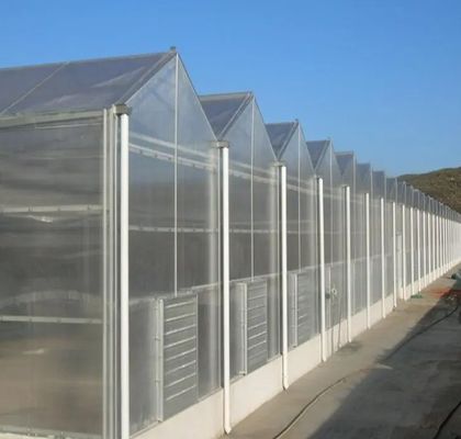 Gewächshaus mit Doppelbogenfolie für Gurkenwachstum