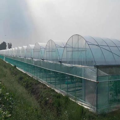 Wasserpflanzungssystem gegen Tröpfchen und Nebel, geeignet für die Überwinterung von Geflügel und Vieh