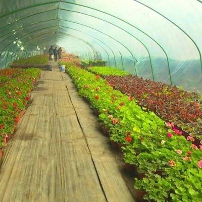 Wasserpflanzungssystem gegen Tröpfchen und Nebel, geeignet für die Überwinterung von Geflügel und Vieh