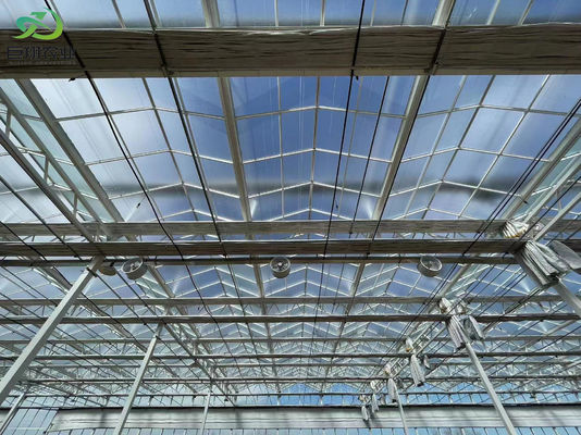 Temperaturgesteuerte Pflanzungsstätte von Juxiang und erschwingliche Pflanzungslösung