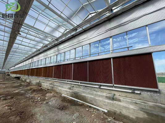 Präzise und genaue Überwachung Hydroponisches Sämlingsgewächshaus mit Feuchtigkeitskontrolle