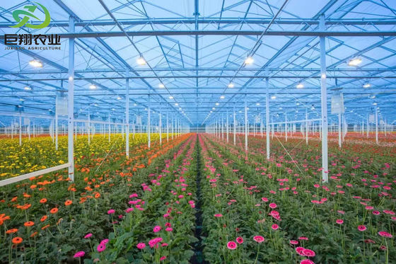 Präzise und genaue Überwachung Hydroponisches Sämlingsgewächshaus mit Feuchtigkeitskontrolle