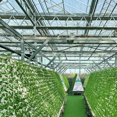 Doppelschicht-Gewächshaus für die Tomatenzüchtung 20GP Paket Größe 12,09cm * 2,35cm * 2,39cm