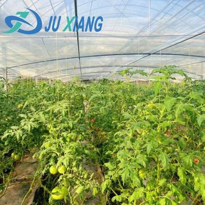 30-Tage-Rückkehrnebel-Vorbeugungssystem für die Blumenproduktion in Gewächshäusern mit gewölbtem Dach