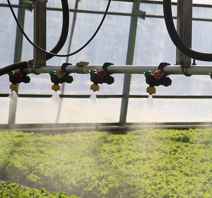 30-Tage-Rückkehrnebel-Vorbeugungssystem für die Blumenproduktion in Gewächshäusern mit gewölbtem Dach