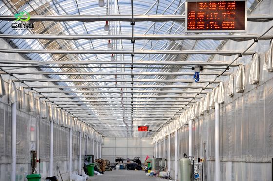 Gewächshaus für Hydroponische Pflanzenpflanzung mit Nutzungs- und Paketgrößenoptionen