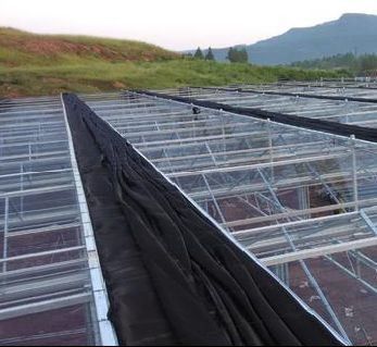 Hydroponik Stromalfeuchtigkeitskontrolle Gewächshaus mit gewölbtem Dach und Multi-Span-Design