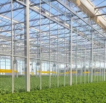 Hydroponik Stromalfeuchtigkeitskontrolle Gewächshaus mit gewölbtem Dach und Multi-Span-Design