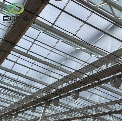 Hochmodernes Gewächshaus Großes, mit Glas bedecktes Wassersprühgerät zur Kontrolle der Feuchtigkeit