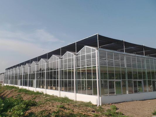 Hochmodernes Gewächshaus Großes, mit Glas bedecktes Wassersprühgerät zur Kontrolle der Feuchtigkeit