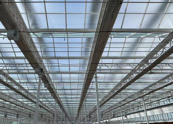 Hochmodernes Gewächshaus Großes, mit Glas bedecktes Wassersprühgerät zur Kontrolle der Feuchtigkeit