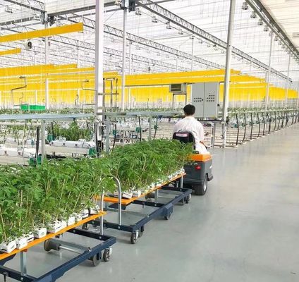 Ein- oder Mehrfach-Juxiang-Doppelschicht-Film-Gewächshaus für die Blumenproduktion
