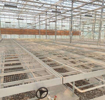 Ein- oder Mehrfach-Juxiang-Doppelschicht-Film-Gewächshaus für die Blumenproduktion