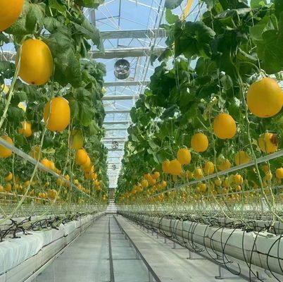 Ein- oder Mehrfach-Juxiang-Doppelschicht-Film-Gewächshaus für die Blumenproduktion