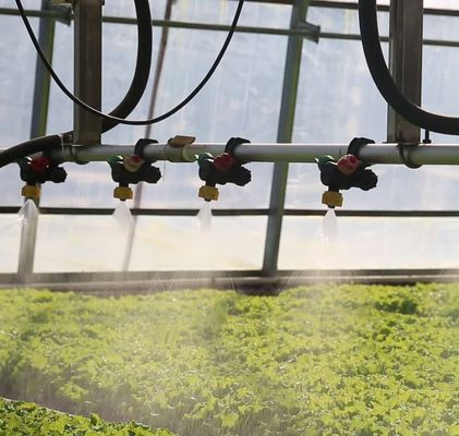 Warmluftbläser/Wärmewasserheizung Doppelbogenhydroponik Gewächshaus für Blumen und Tomaten