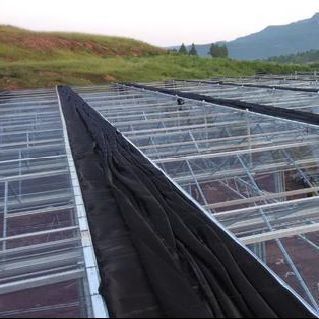 Warmluftbläser/Wärmewasserheizung Doppelbogenhydroponik Gewächshaus für Blumen und Tomaten