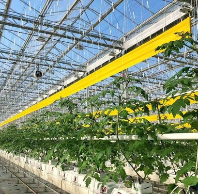 Warmluftbläser/Wärmewasserheizung Doppelbogenhydroponik Gewächshaus für Blumen und Tomaten