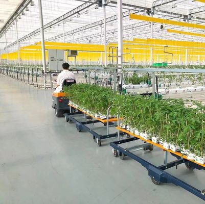 Warmluftbläser/Wärmewasserheizung Doppelbogenhydroponik Gewächshaus für Blumen und Tomaten