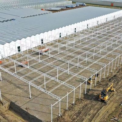 Stahlkonstruktion Gewächshaus für die Pfefferproduktion mit Hydroponik-Anbaumethode