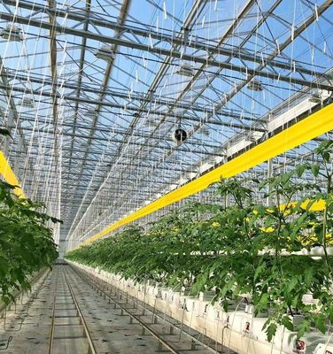 Stahlkonstruktion Gewächshaus für die Pfefferproduktion mit Hydroponik-Anbaumethode