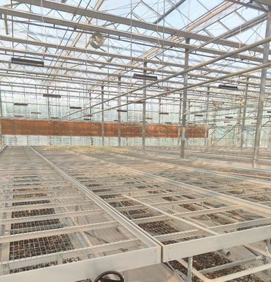 Stahlkonstruktion Gewächshaus für die Pfefferproduktion mit Hydroponik-Anbaumethode