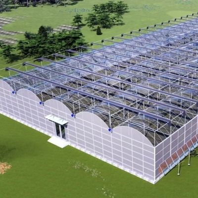 Stahlkonstruktion Gewächshaus für die Pfefferproduktion mit Hydroponik-Anbaumethode