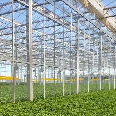 JX-H0068 Gewächshaus mit Tropfsicherungstechnologie für die Blumen- und Tomatenanpassung