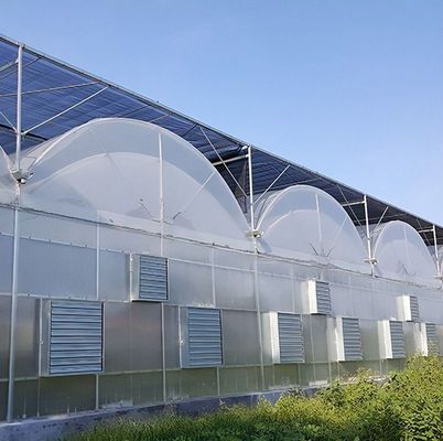 Doppelbogenstruktur - gefertigtes hydroponisches Gewächshaus für den Produktionsbedarf der gemischten Landwirtschaft