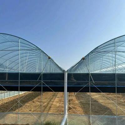 Doppelbogenstruktur - gefertigtes hydroponisches Gewächshaus für den Produktionsbedarf der gemischten Landwirtschaft