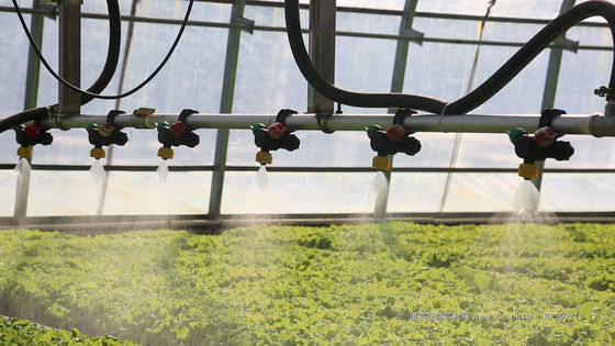 USA/Kanada Stahlkonstruktion Gemüse Pflanzen Einbogengewächshaus für die Hydroponik
