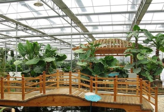 Individuelle Anfrage für ein kommerzielles Gewächshaussystem für Tomaten, Gurken und Salat