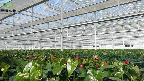 Spezielle Anforderung Sprühkühlung Pflanzhaus für Sämlinge Stahlkonstruktion Anpassung