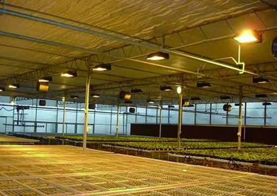 Tomaten, Gurken, Salat, Bruttogewicht 2000.000 kg Anfrage Anpassung