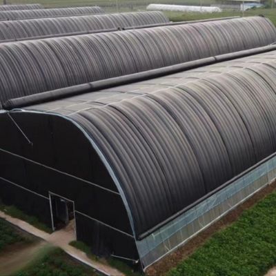 USA/Ca Landwirtschaftliche Einfachspannung Tunnelfolie Gewächshaus für Pilze und Gemüse