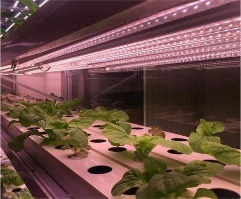 2000.000kg Wasserversprüher Kontrollraum für Saatgut/Gemüse/Frucht/Blumen
