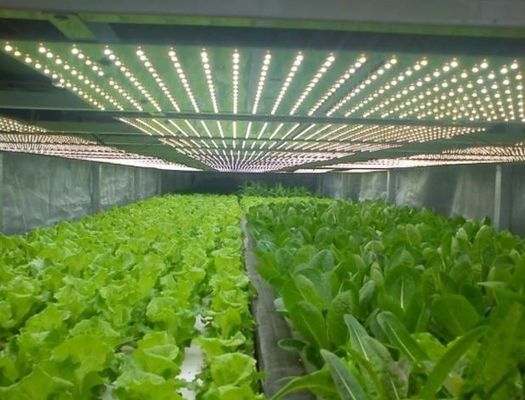 2000.000kg Wasserversprüher Kontrollraum für Saatgut/Gemüse/Frucht/Blumen