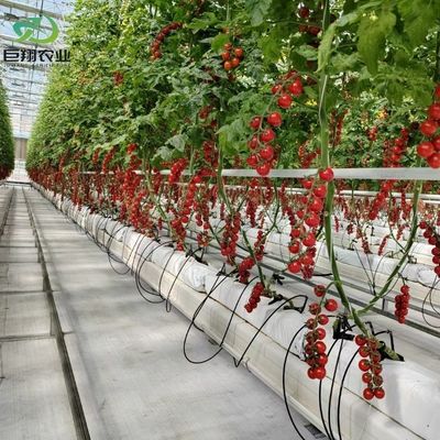 Spezialisierte Filmdicke Landwirtschaftliche Kunststofffolie Hydropoinik Gewächshäuser
