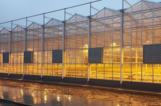 Juxiang Tomaten Gurke Salat Struktur Beleuchtungs Gewächshaus